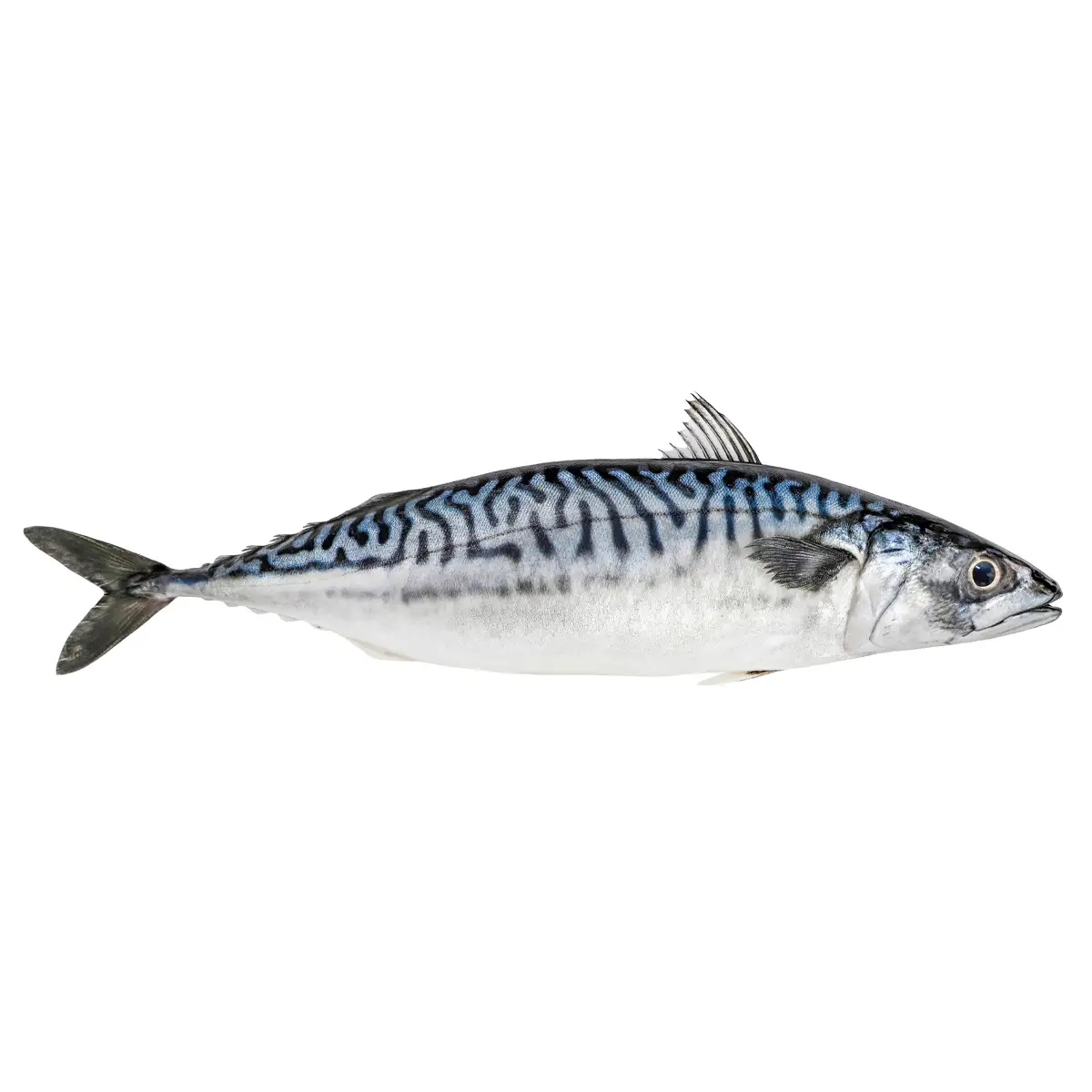Caballa 